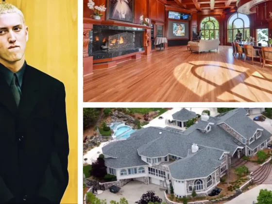 Eminem house