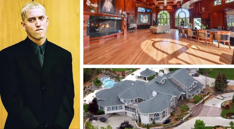 Eminem house