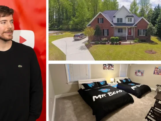 Mr Beast House