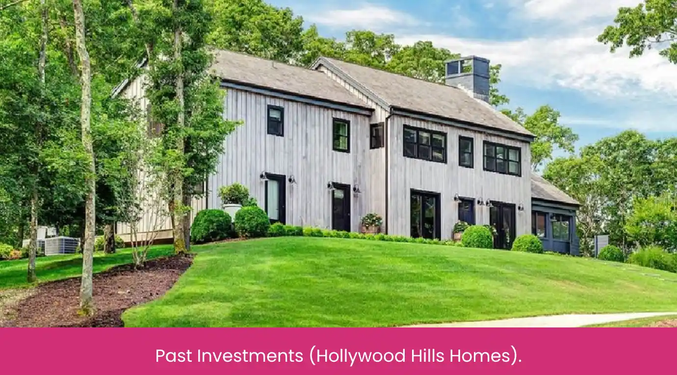 Past Investments (Hollywood Hills Homes).