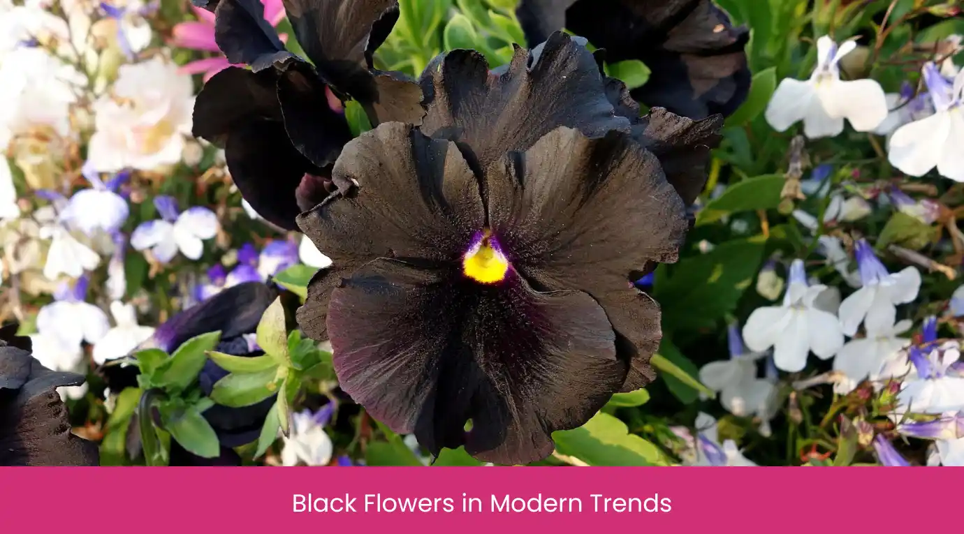 Black Flowers in Modern Trends