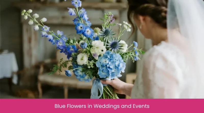 Blue Flowers in Weddings and Events