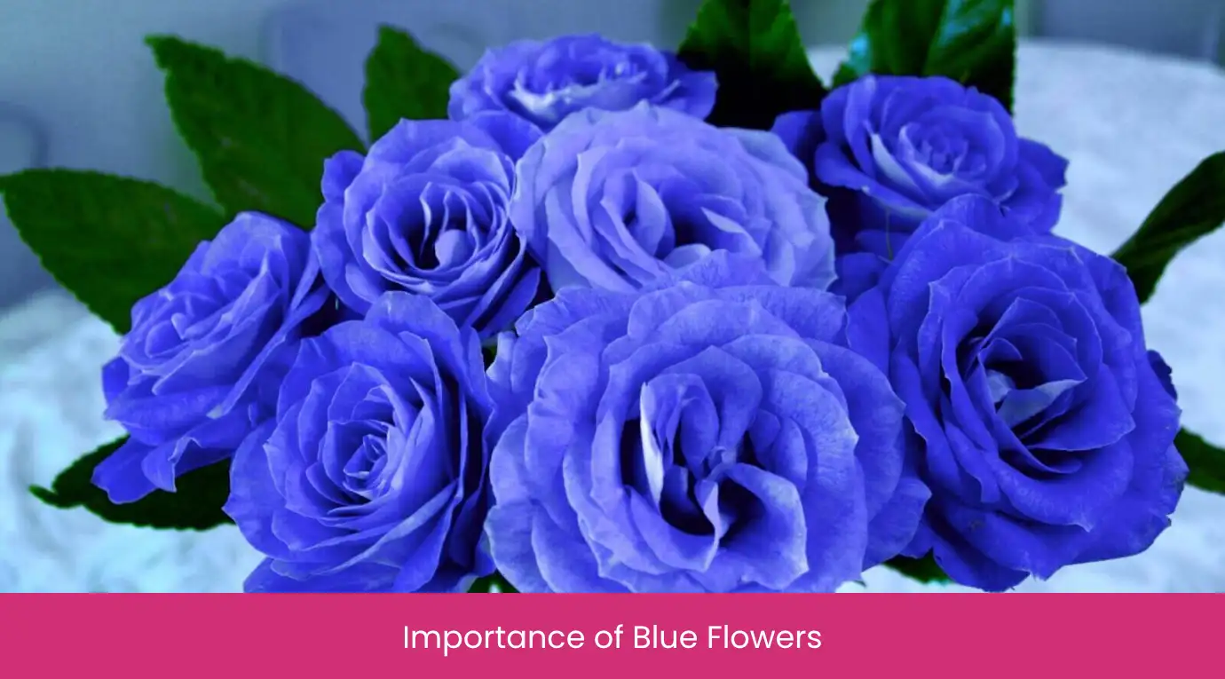 Importance of Blue Flowers