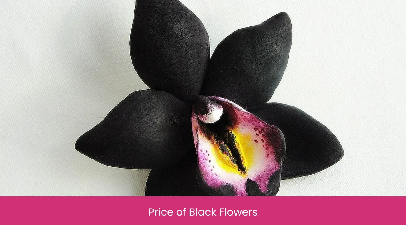 Price of Black Flowers