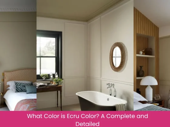 What Color is Ecru Color A Complete and Detailed