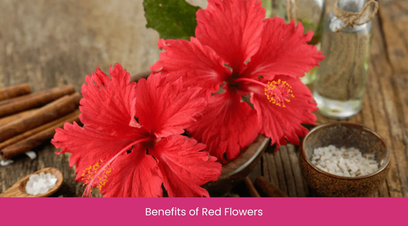 Benefits of Red Flowers Benefits of Red Flowers