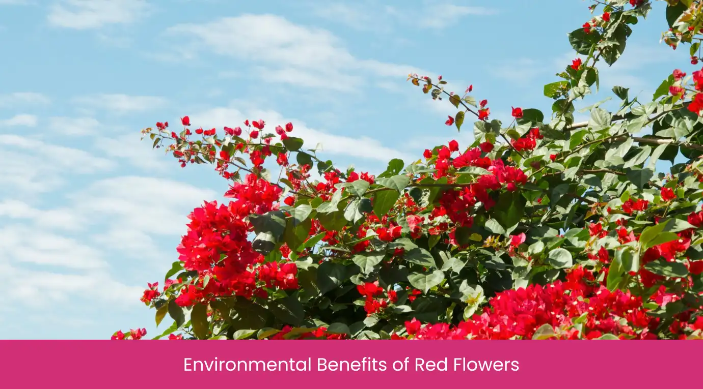 Environmental Benefits of Red Flowers Environmental Benefits of Red Flowers
