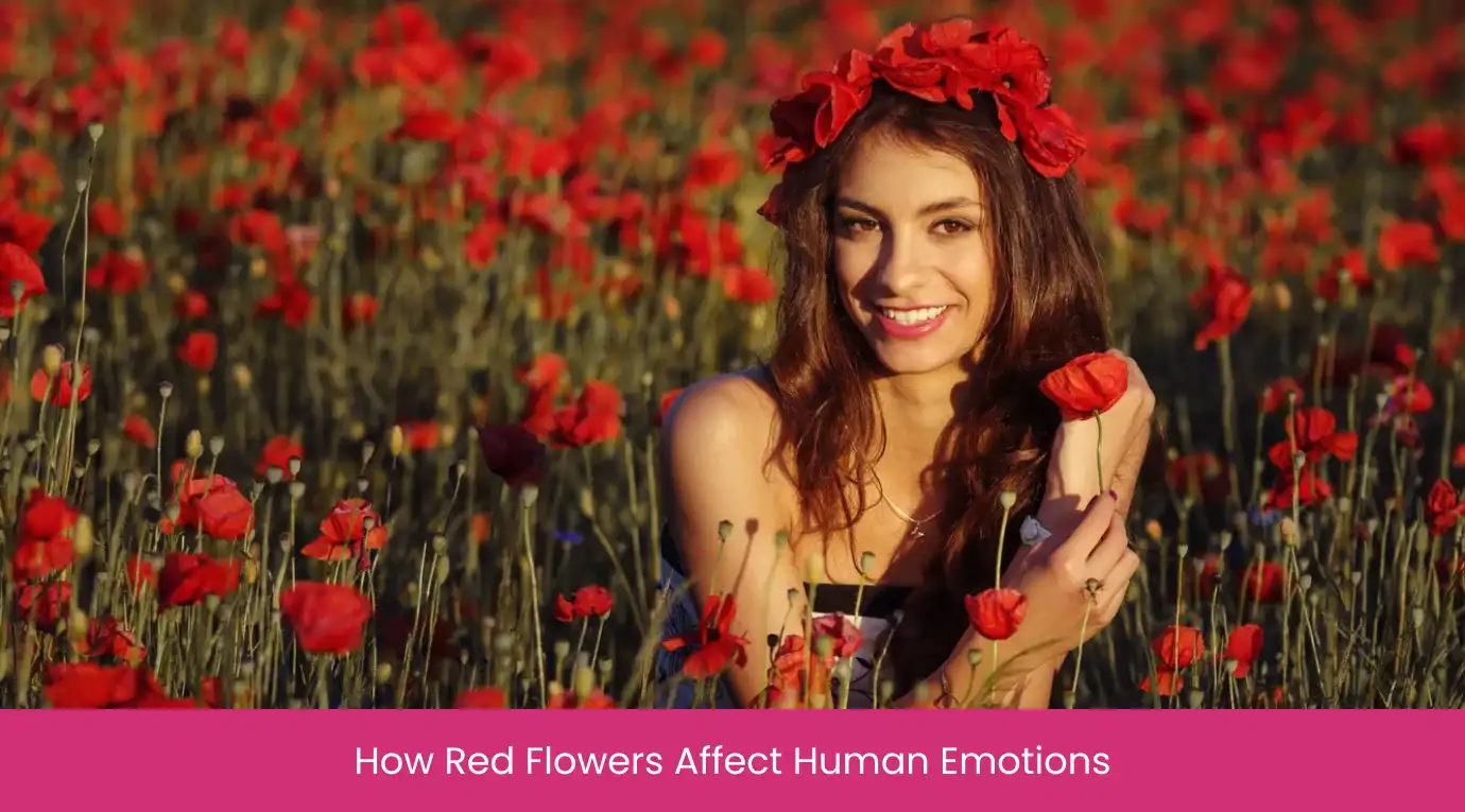 How Red Flowers Affect Human Emotions How Red Flowers Affect Human Emotions
