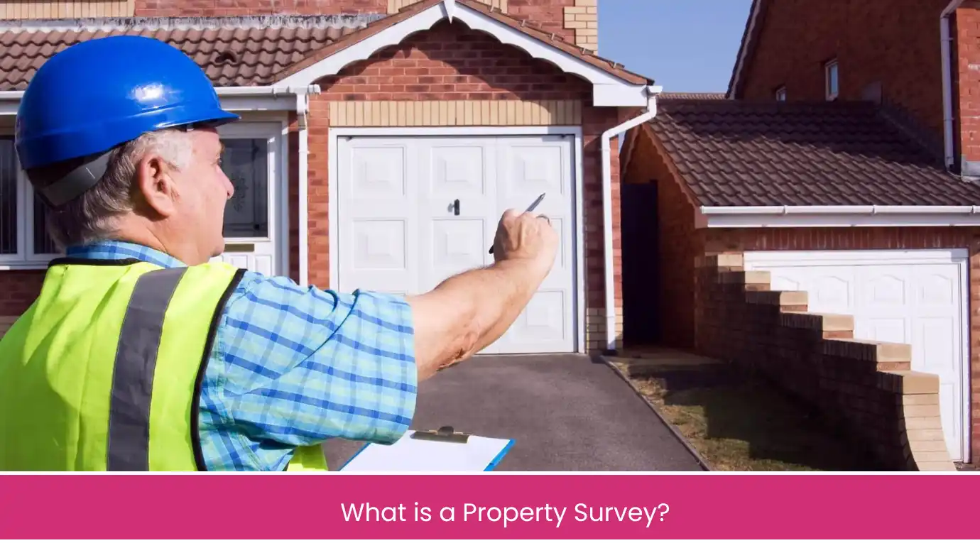 What is a Property Survey